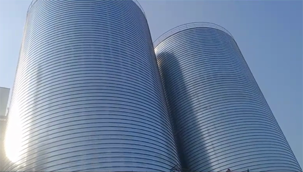 天峨2座混凝土高架卷板仓